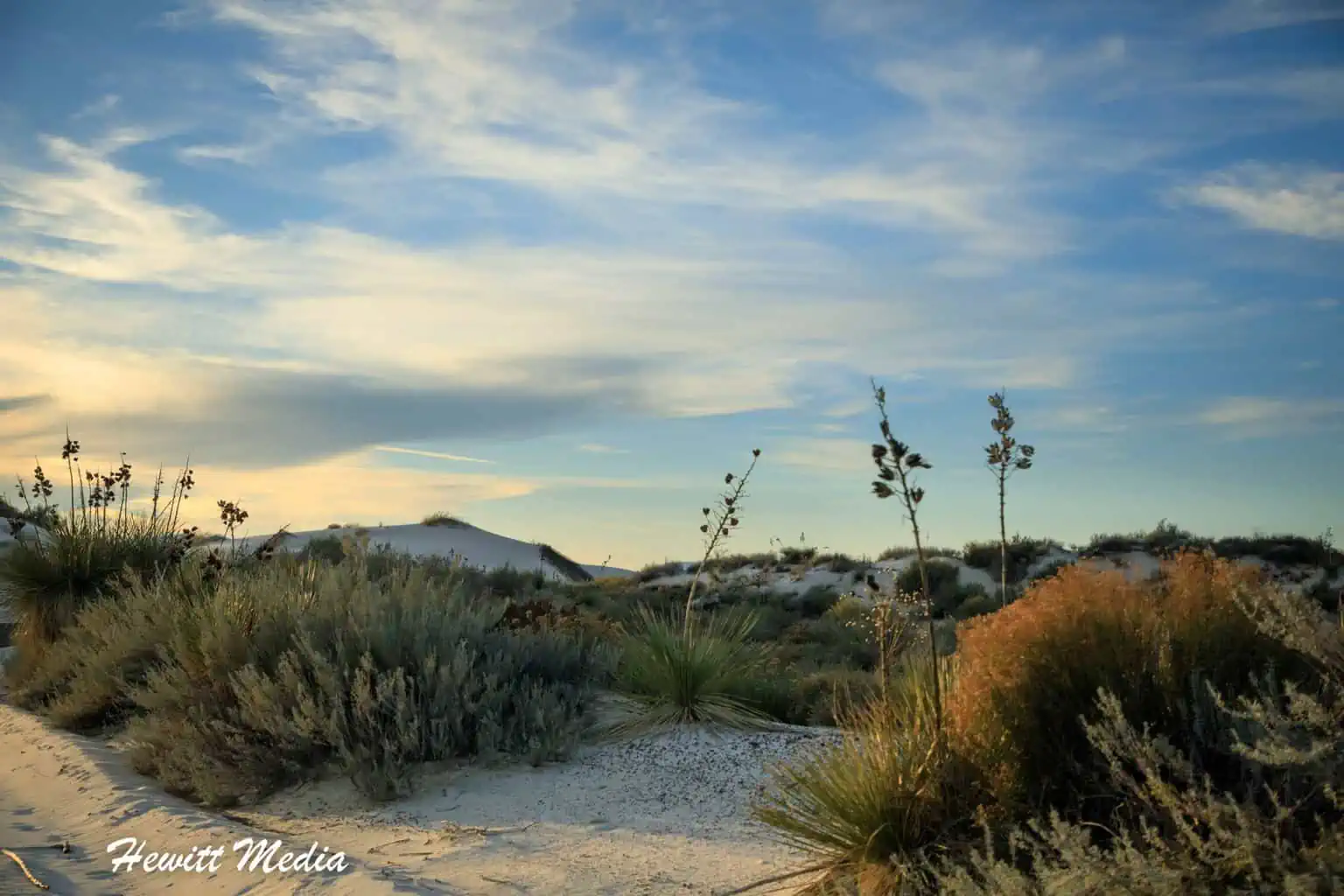 Desert Parks Road Trip - White Sands