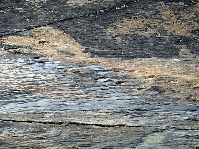 Tetrapod Tracks on Valentia