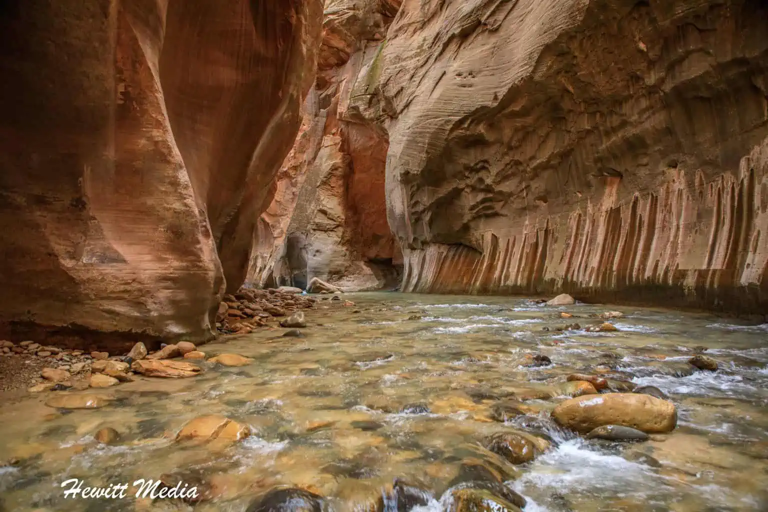 The All You Need Zion National Park Guide