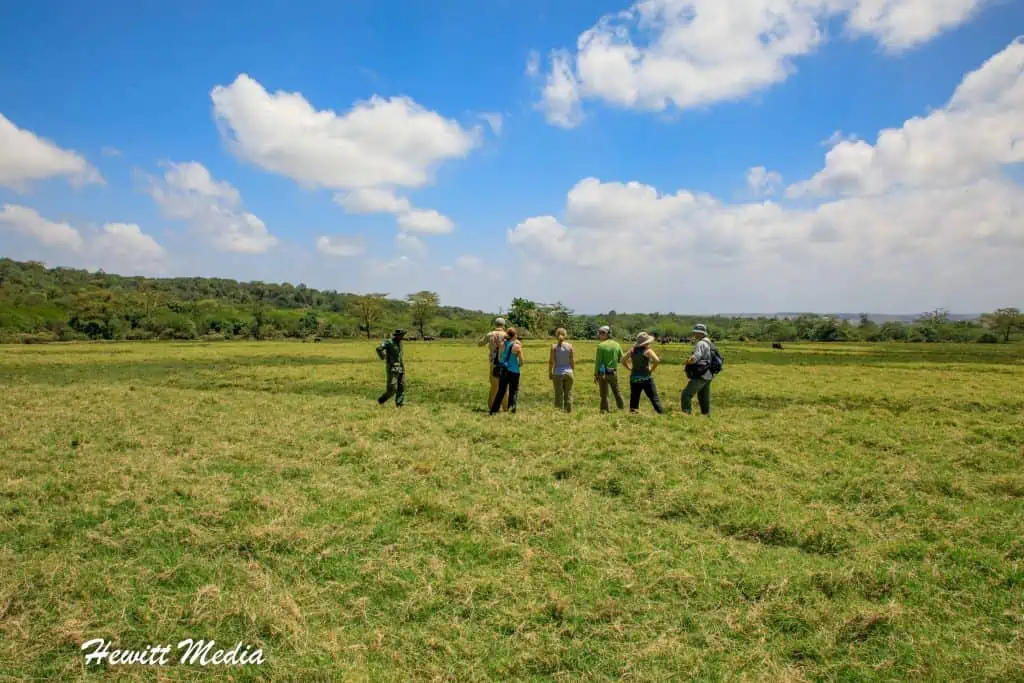 Arusha National Park Safari