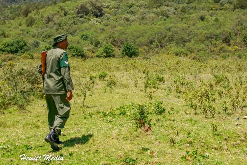 Arusha Walking Safari