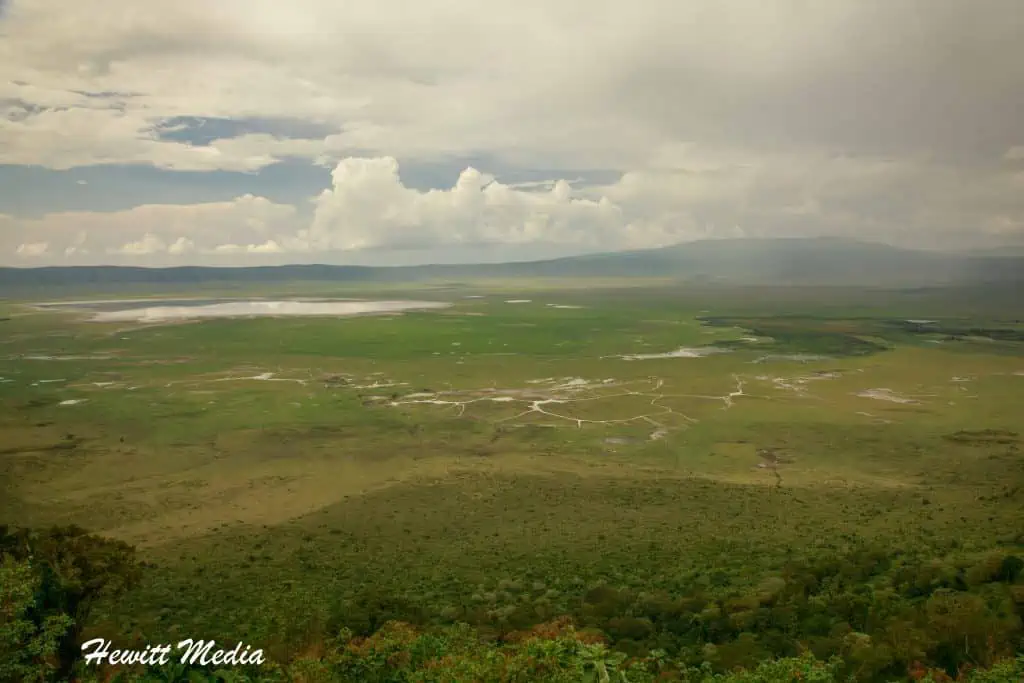 Ngorongoro Crater Safari