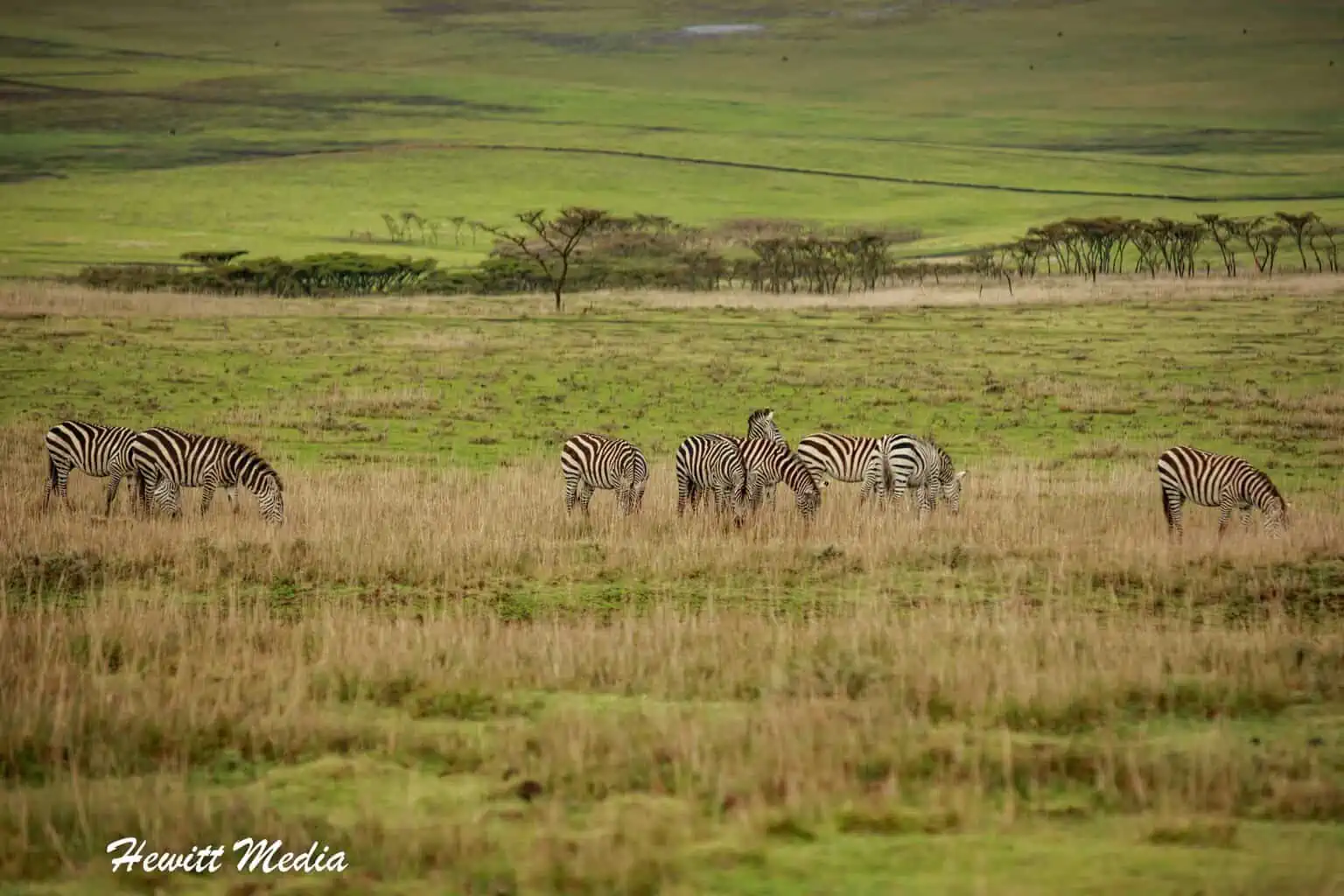 Instagram Travel Photography - Ngorongoro Crater