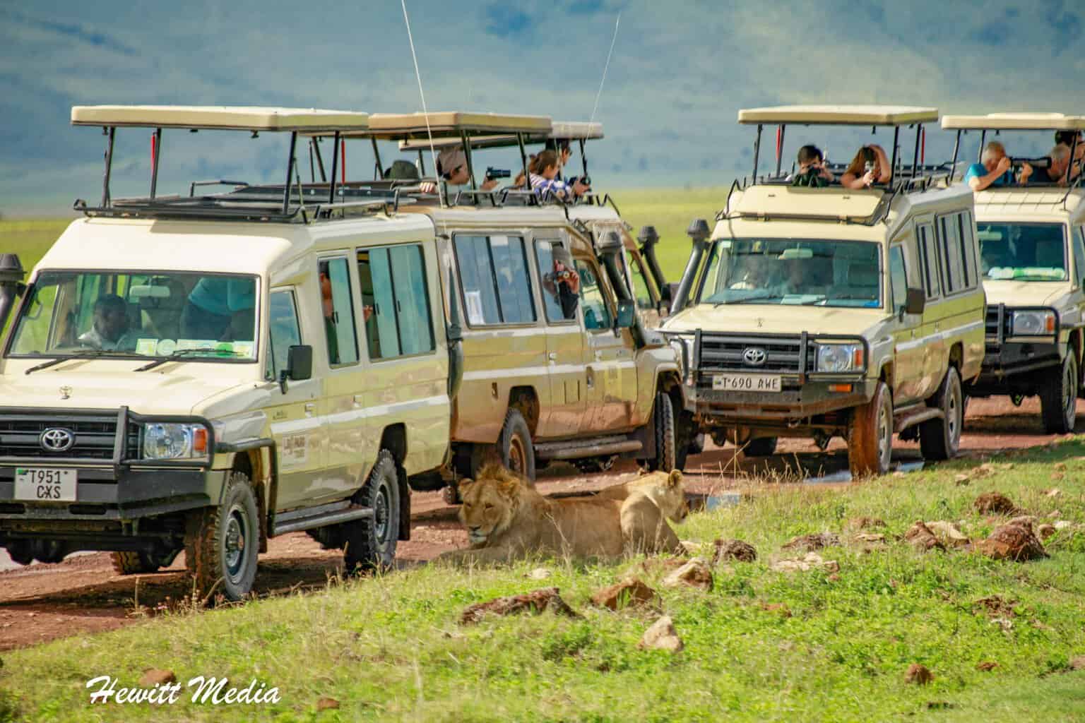 Northern Tanzania Ultimate Safari