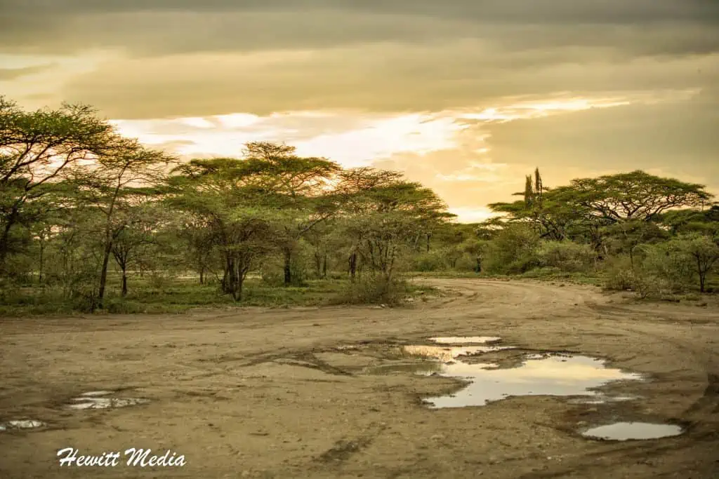 Serengeti National Park Safari