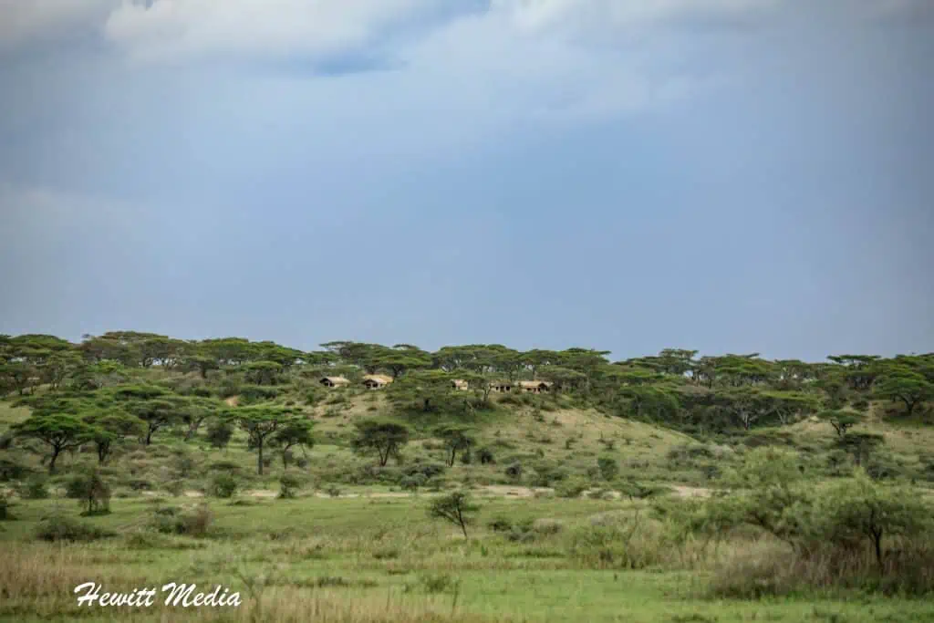 Serengeti National Park Safari