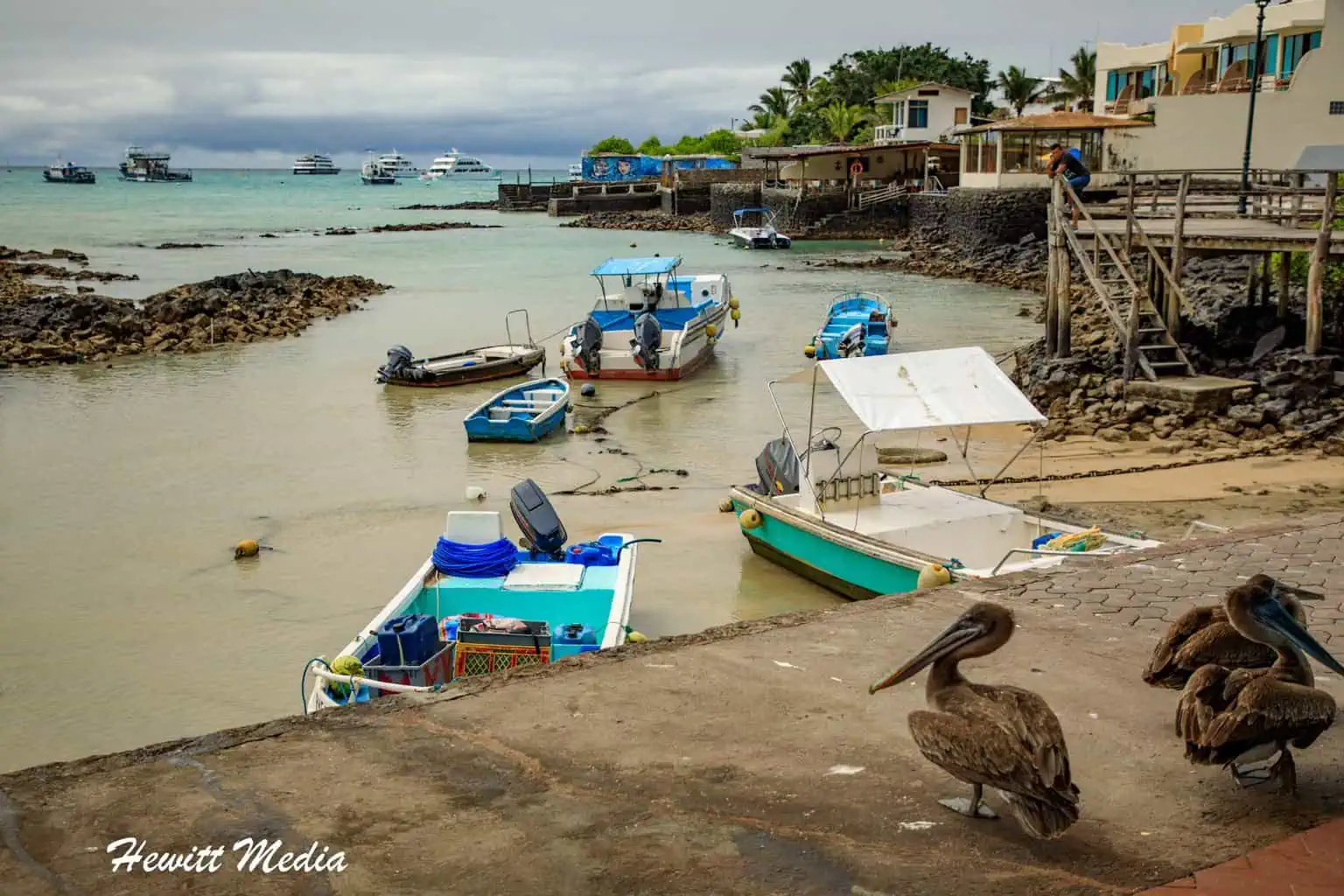 The Art of Travel Photography – Galápagos Photography Guide