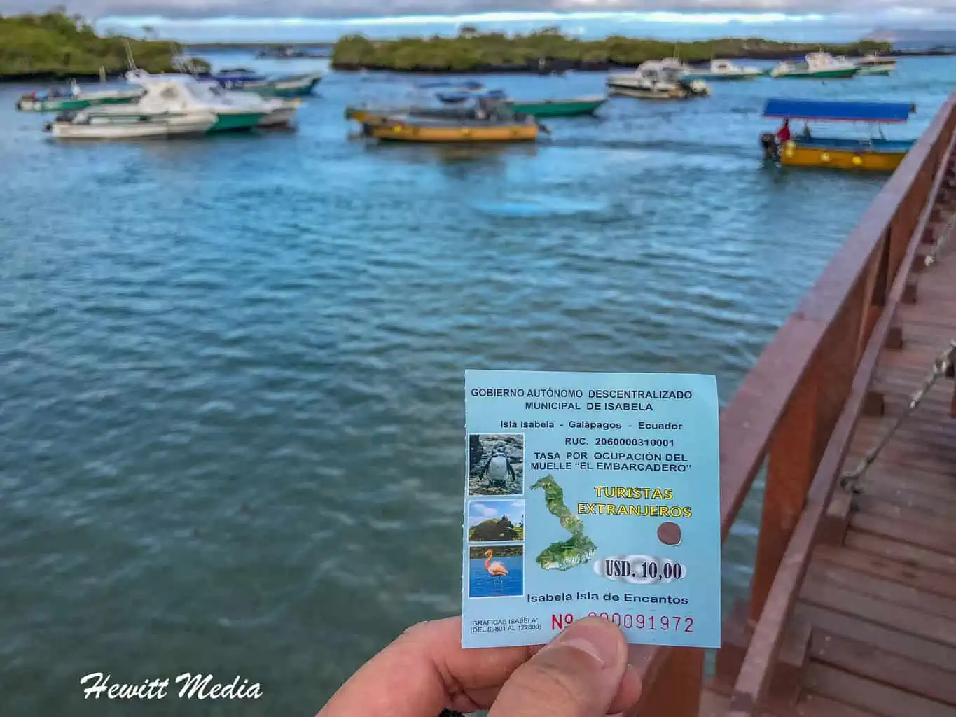 Pay $10 tax upon arriving on Isabela Island