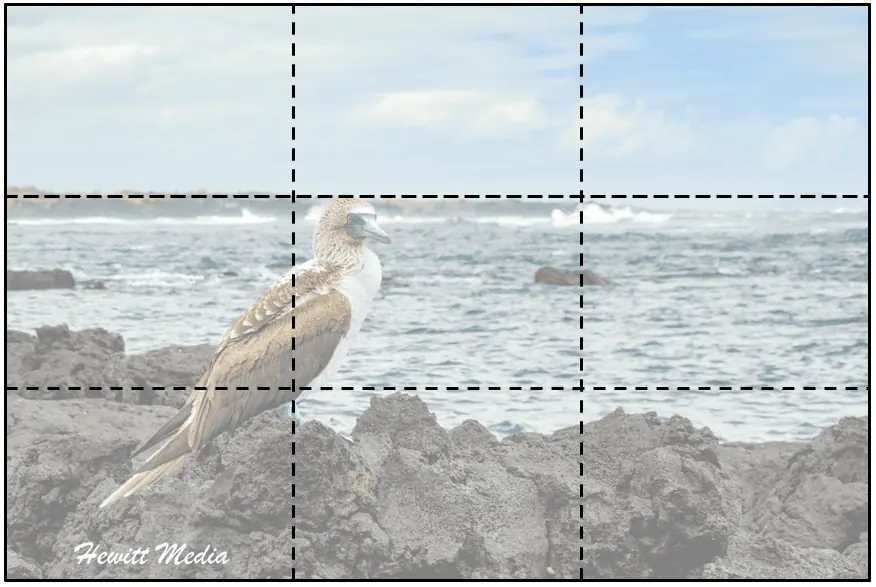Galápagos Photography Guide - Rule of Thirds