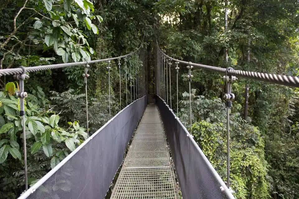 Top Travel Experiences - Costa Rica Rainforest