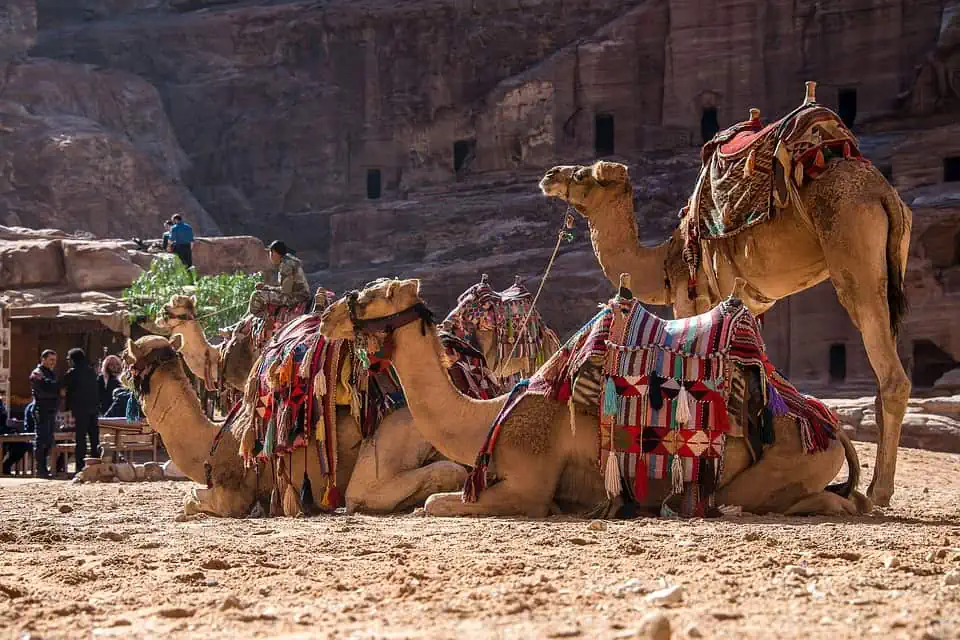 Top Travel Experiences - See Petra in Jordan