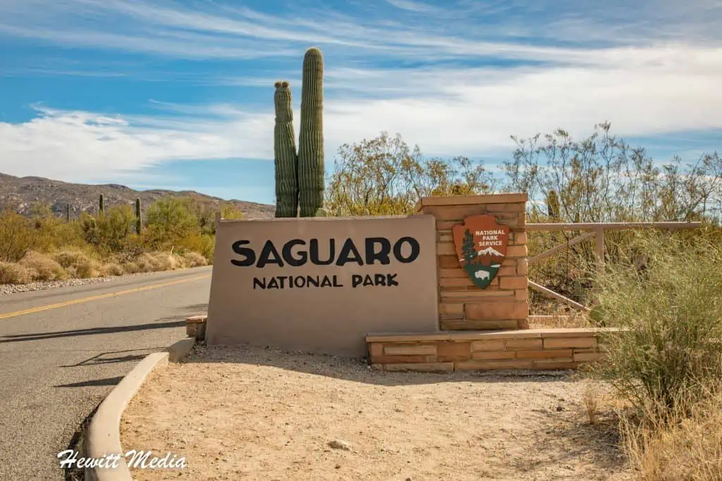 Saguaro National Park Guide