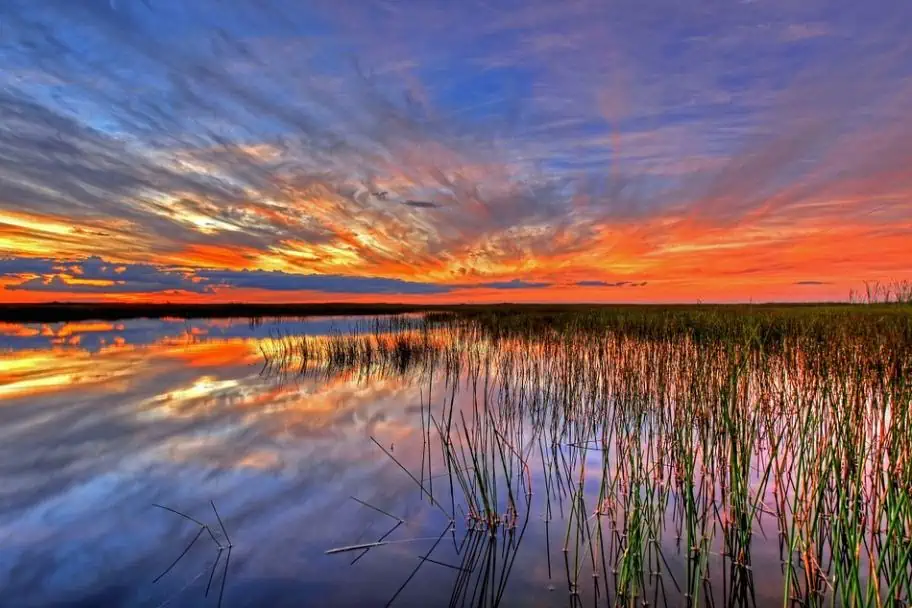 Top Things to See in the United States - Everglades National Park