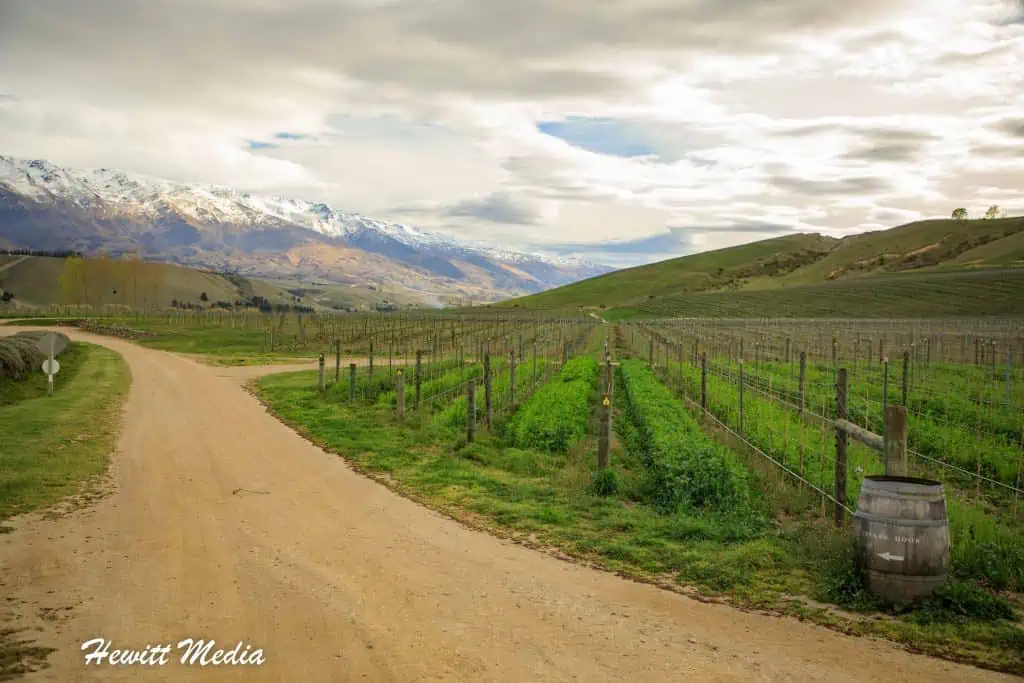 Central Otago Wine Valleys Guide
