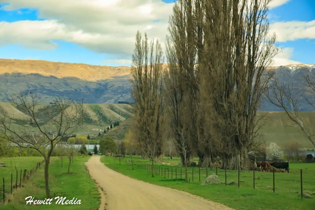 Central Otago Wine Valleys Guide
