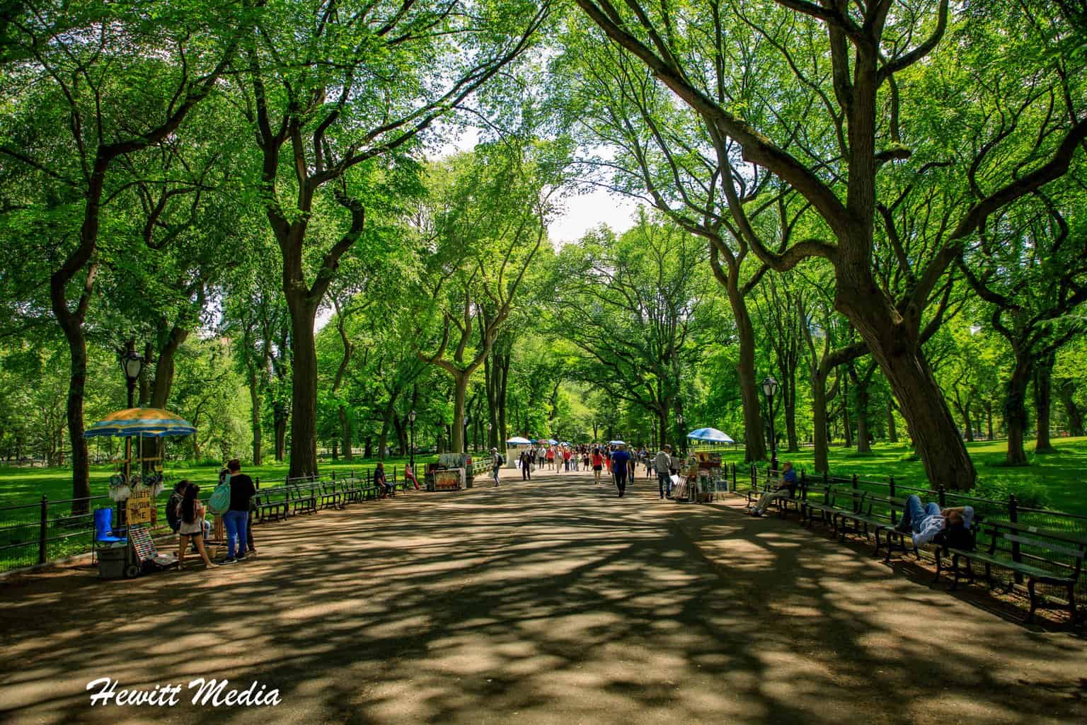 Things to See in the United States Central Park