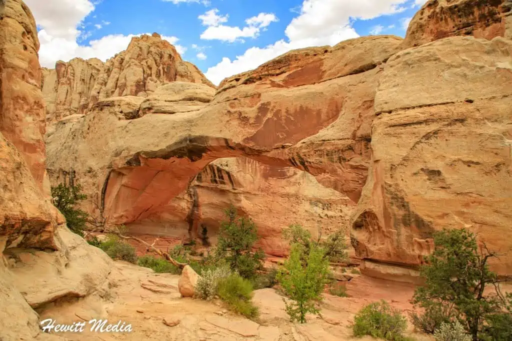 Capitol Reef Park Guide