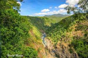 The Complete Kuranda Rainforest Guide for Visitors