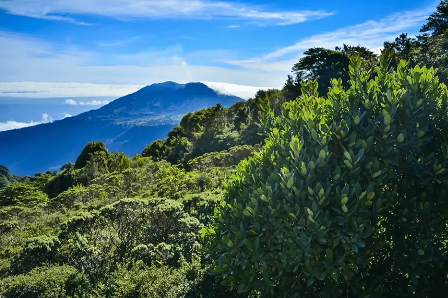 Top 2021 Travel Destinations - Costa Rica Rainforest
