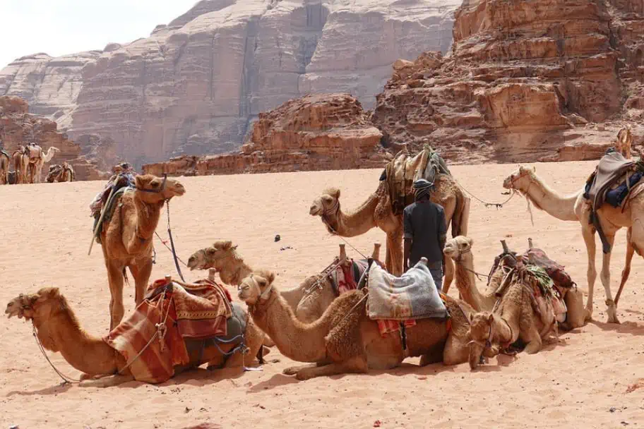 Middle East Trip - Wadi Rum