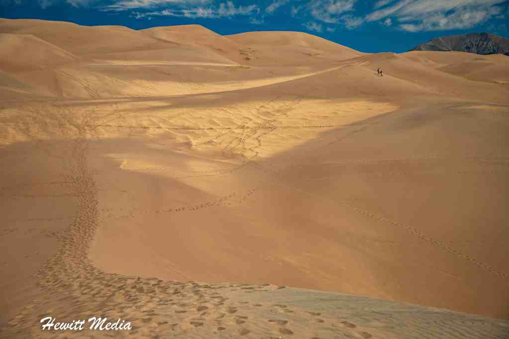 Great Sand Dunes Guide