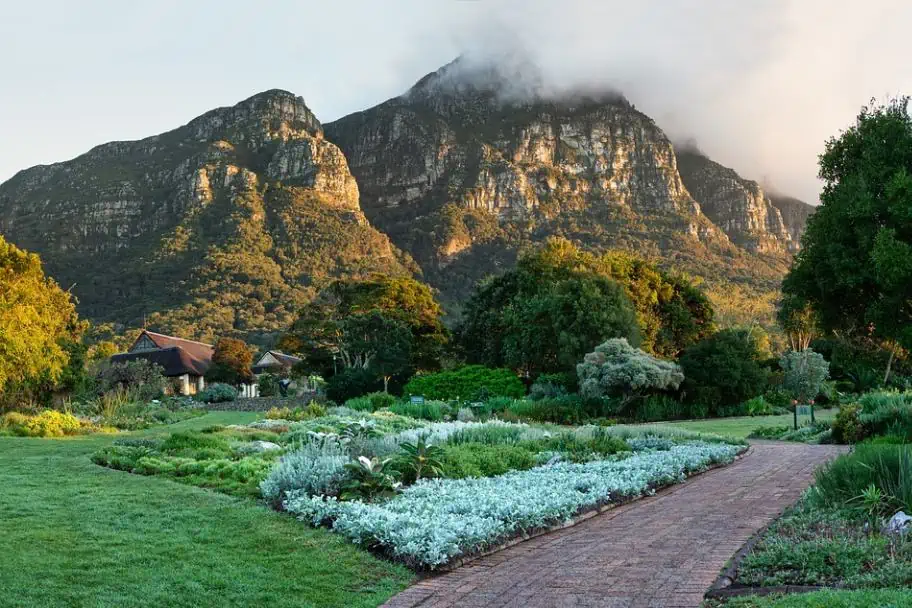 Cape Town Travel Guide - Kirstenbosch Botanical Gardens