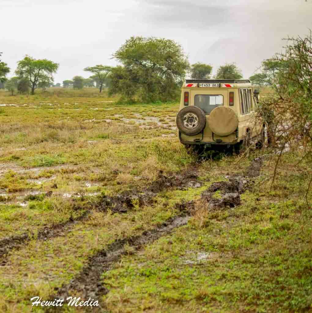 Instagram Travel Photography - Serengeti Wet Season