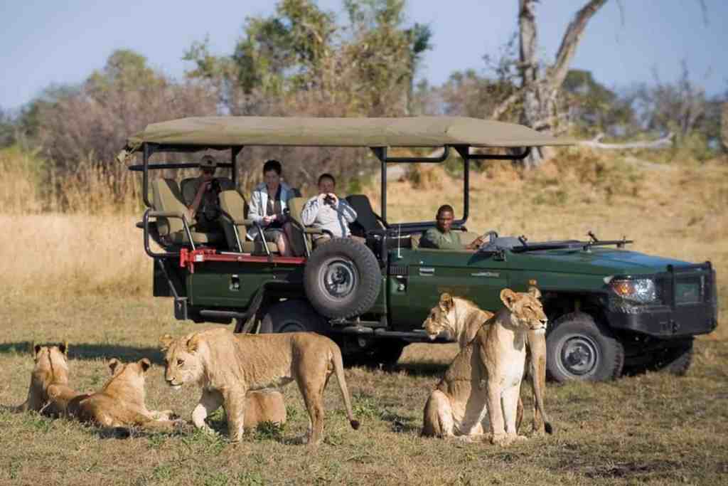 Chobe Bostwana Safari