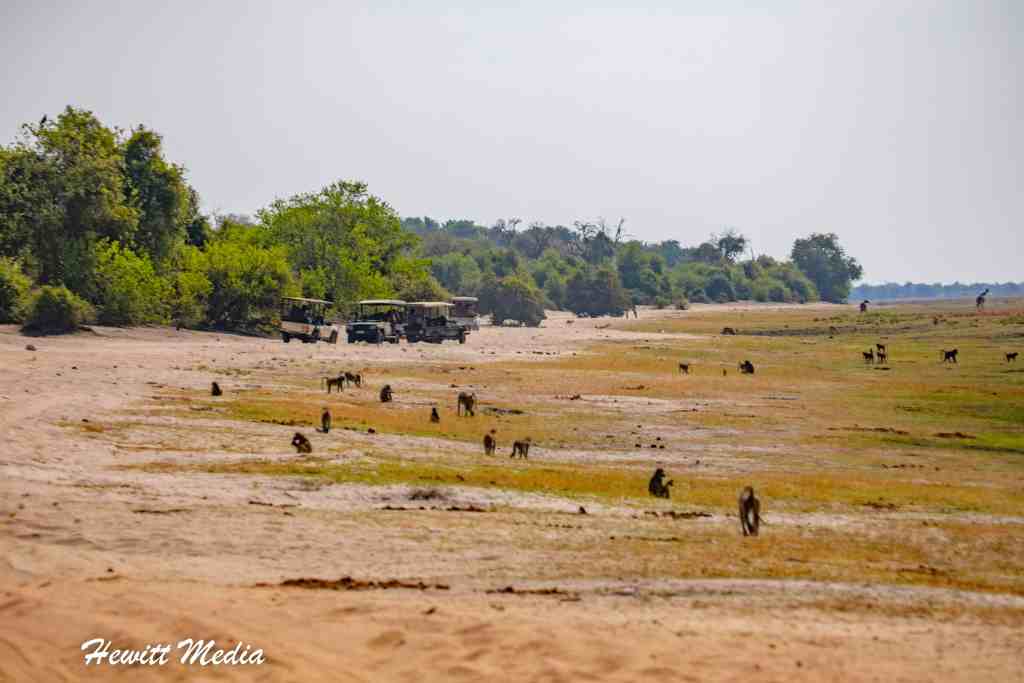Chobe National Park Safari 