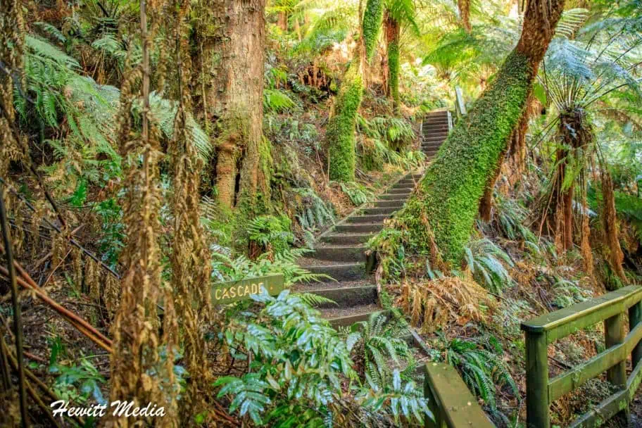 Things to See When Visiting Australia - Great Otway National Park