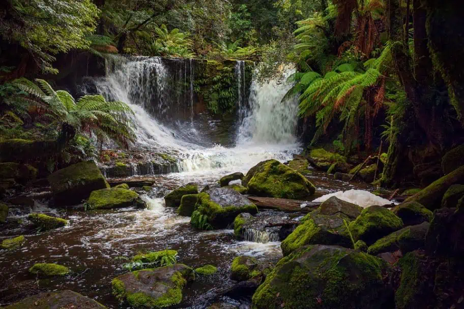 Things to See When Visiting Australia - Mount Field National Park
