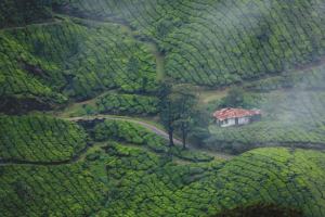 The Six Must-Visit Attractions in Kerala, India