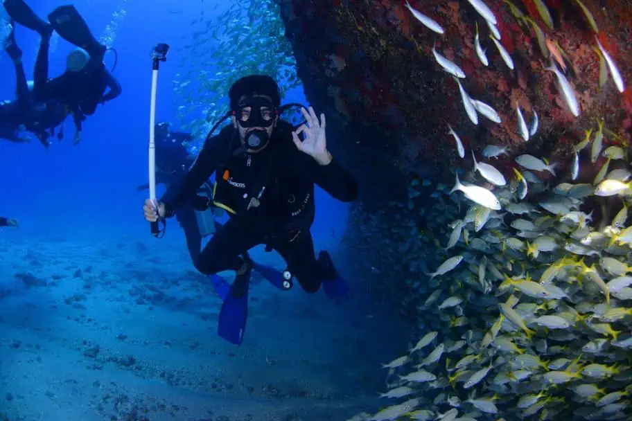 Top 10 Diving Experiences You Must Do In Your Life