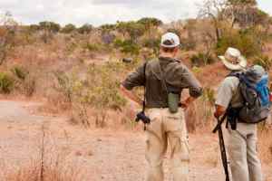 How To Backpack When Planning to Solo Camp Kruger National Park, Africa