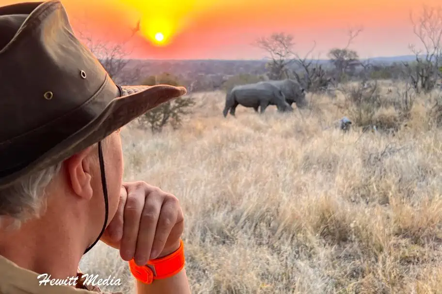 Photography Tips for Safaris