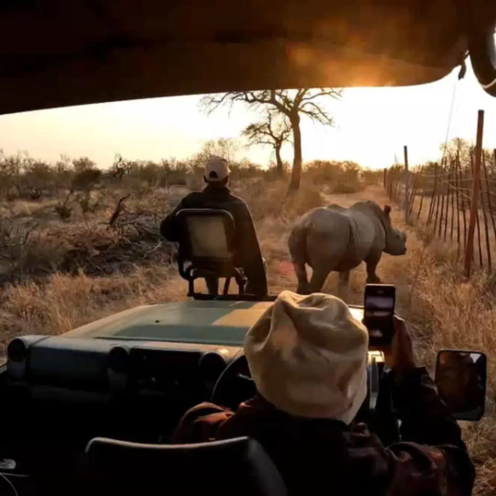 Instagram Travel Photography: Safari in Greater Kruger Reel