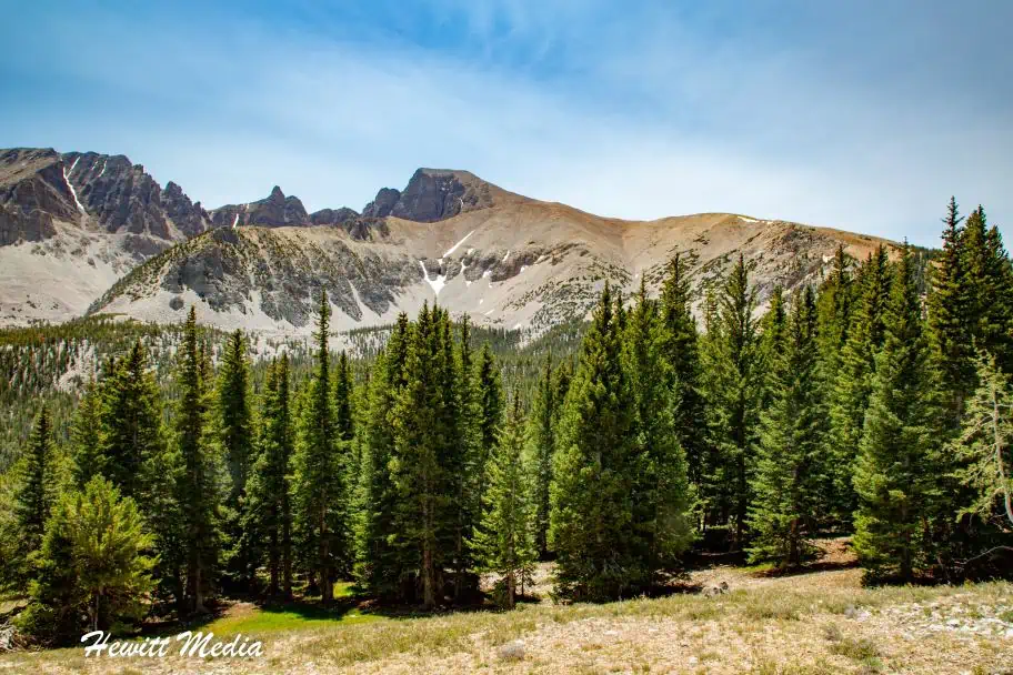 Great Basin National Park Guide